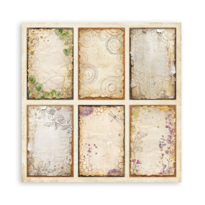Papier scrapbooking, 30x30cm, All around  - Stamperia - 22 feuilles, motif recto 