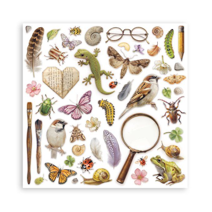 Papier scrapbooking, 30x30cm, All around  - Stamperia - 22 feuilles, motif recto 