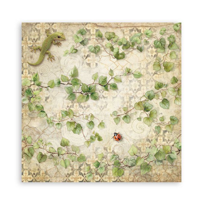Papier scrapbooking, 30x30cm, All around  - Stamperia - 22 feuilles, motif recto 