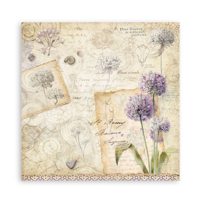 Papier scrapbooking, 30x30cm, All around  - Stamperia - 22 feuilles, motif recto 