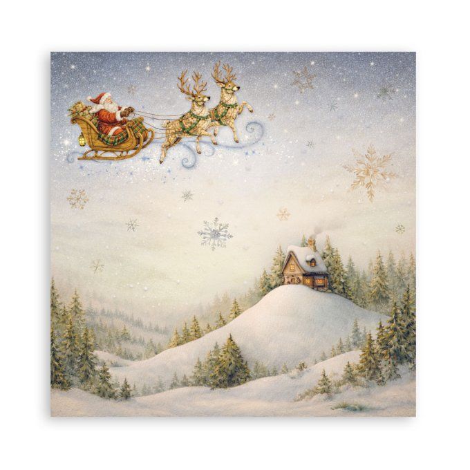 Collection Silent night, 30x30cm - 22 feuilles motif recto - Stamperia - 190g