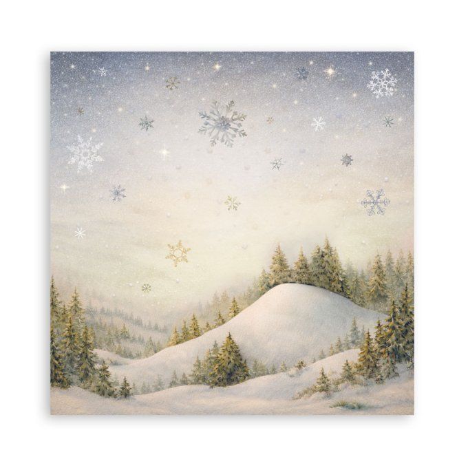 Collection Silent night, 30x30cm - 22 feuilles motif recto - Stamperia - 190g
