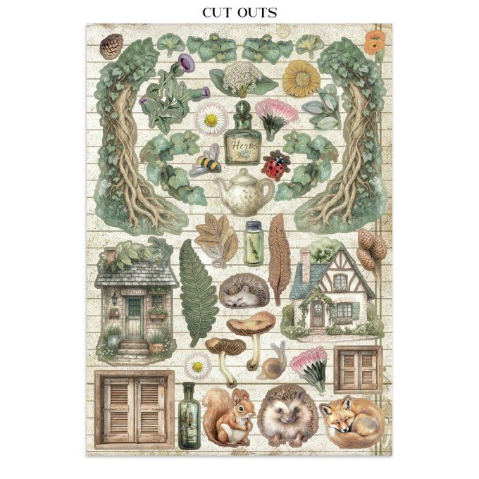 Stamperia, Junk Journal Collection Herbarium Silvae