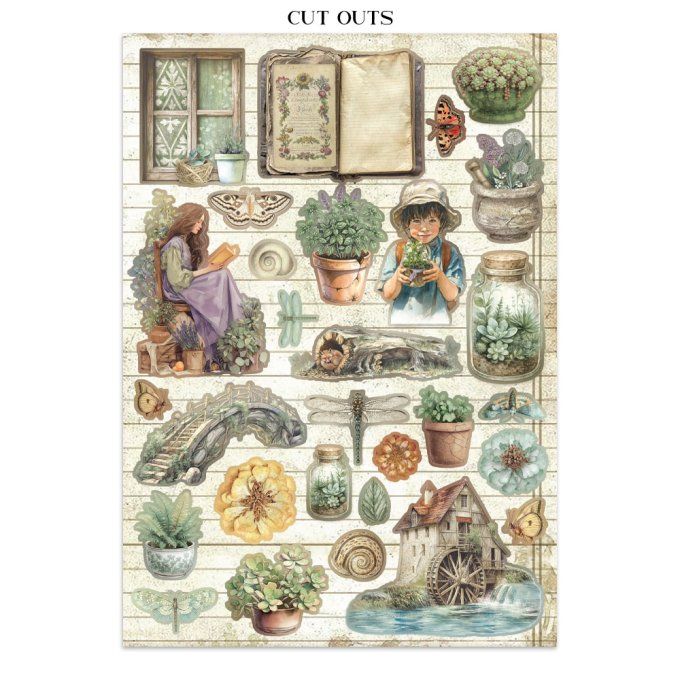 Stamperia, Junk Journal Collection Herbarium Silvae