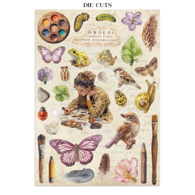 Stamperia, Junk Journal Collection All around