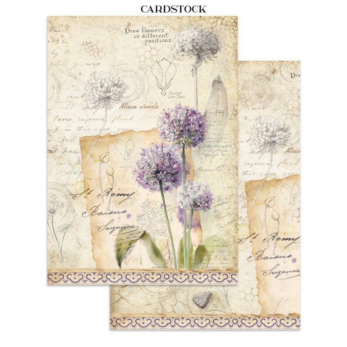 Stamperia, Junk Journal Collection All around