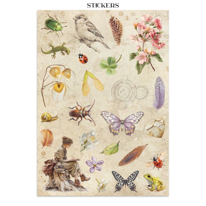 Stamperia, Junk Journal Collection All around