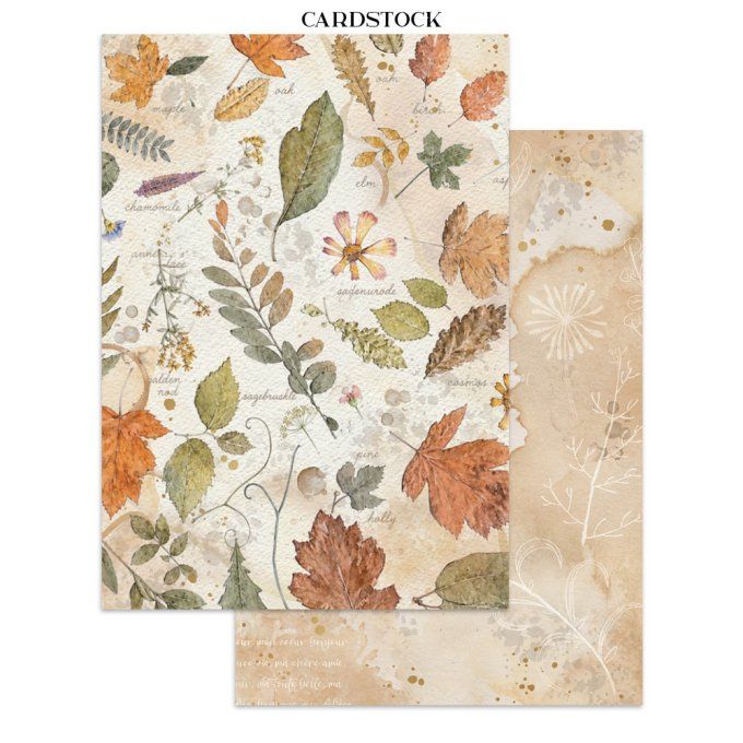 Stamperia, Junk Journal Collection Flowers and Poems