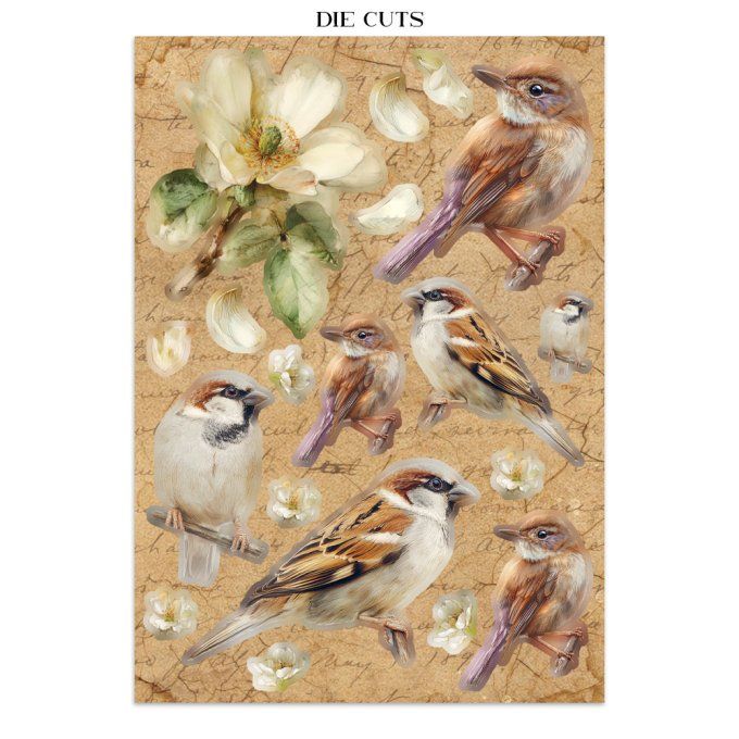 Stamperia, Junk Journal Collection All around, format A5