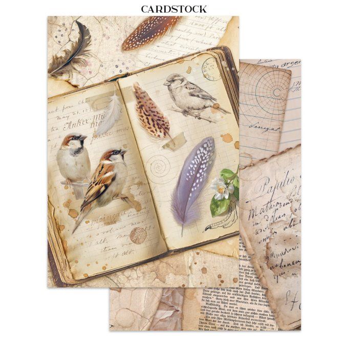 Stamperia, Junk Journal Collection All around, format A5