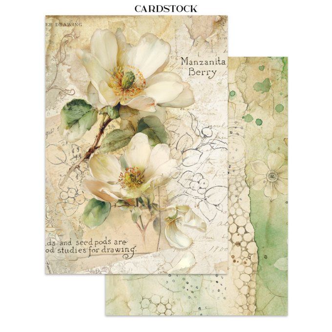 Stamperia, Junk Journal Collection All around, format A5