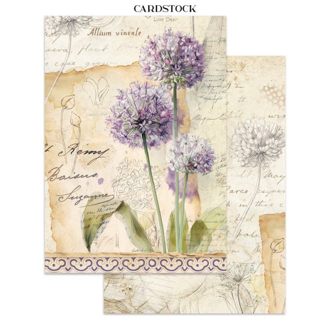 Stamperia, Junk Journal Collection All around, format A5