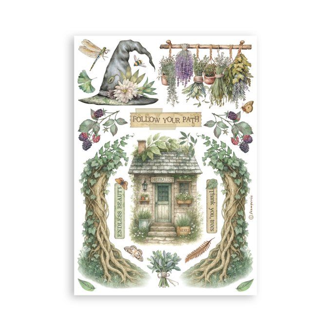 8 feuilles, éléments autocollants, dim. 14.5x21cm environ, Herbarium Silvae, Stamperia