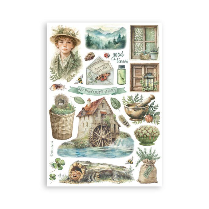 8 feuilles, éléments autocollants, dim. 14.5x21cm environ, Herbarium Silvae, Stamperia