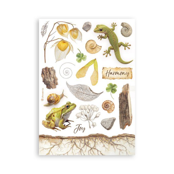 8 feuilles, éléments autocollants, dim. 14.5x21cm environ, All around, Stamperia 