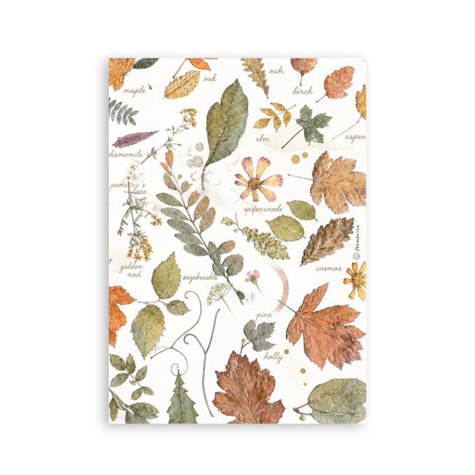 8 feuilles, éléments autocollants, dim. 14.5x21cm environ, collection : Flowers and Poems
