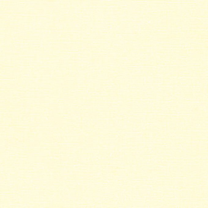 Cardstock Couleur : Ivory/Ecru, 216g, 25 feuilles-30x30cm (texturé)-Scrapberry's (voir description)