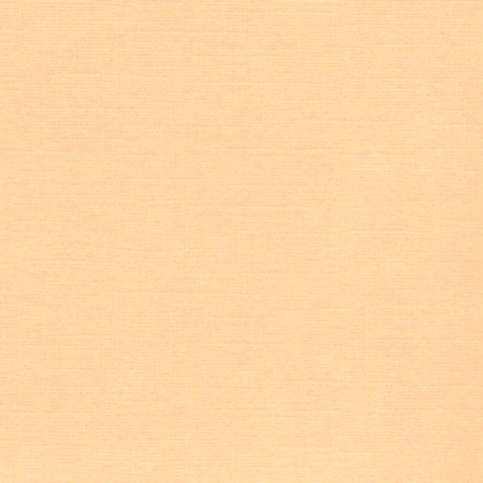 Cardstock Couleur : Light peach, 216g, 25 feuilles-30x30cm (texturé)-Scrapberry's