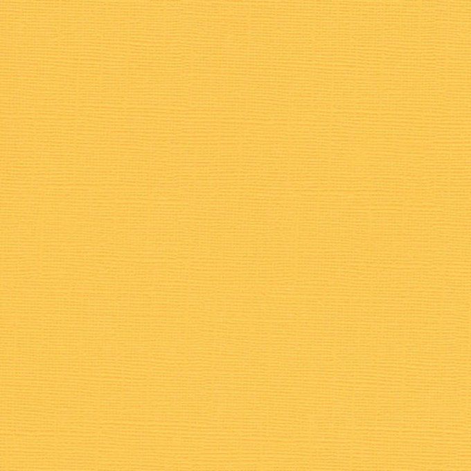 Cardstock, Couleur light gold , 216g, 25 feuilles-30x30cm (texturé)-Scrapberry's (voir description)