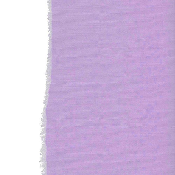 Cardstock, Lavender, 216g, 25 feuilles-30x30cm (texturé)-Scrapberry's (voir description)