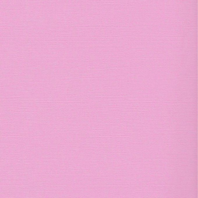 Cardstock Couleur : Wistaria, 216g, 25 feuilles-30x30cm (texturé)-Scrapberry's (voir description) 