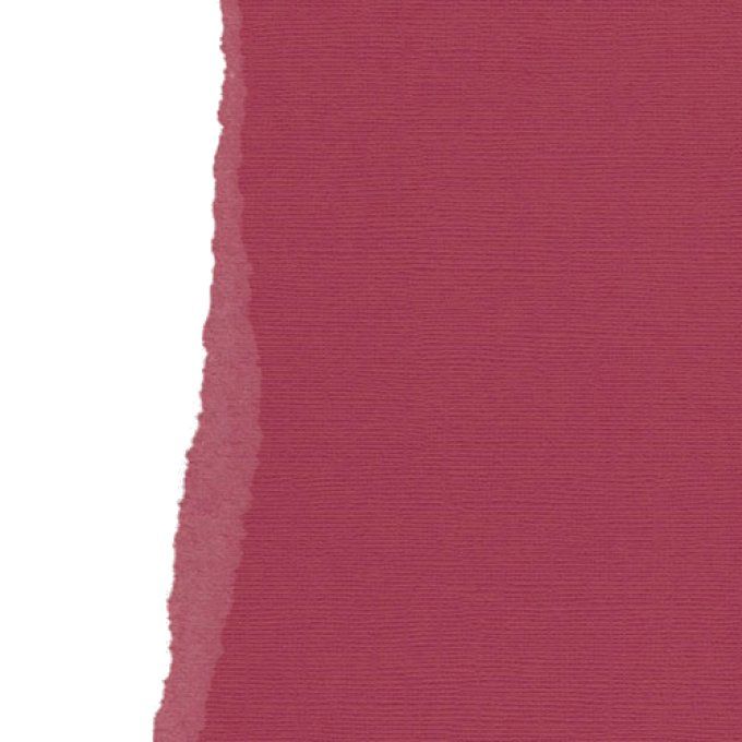 Cardstock, Purple-amaranth, 216g, 25 feuilles-30x30cm (texturé)-Scrapberry's (voir description)