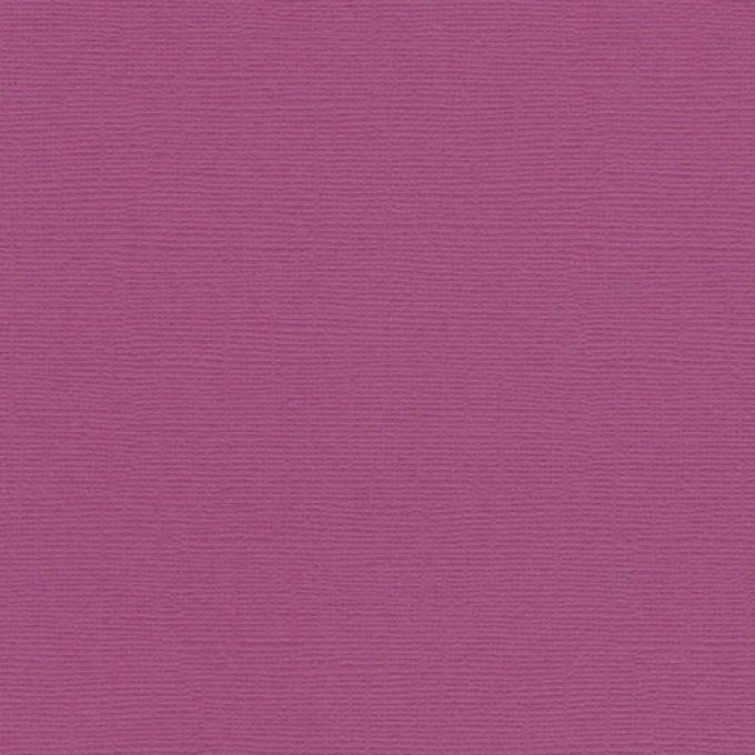 Cardstock Couleur : Violet, 216g, 25 feuilles-30x30cm (texturé)-Scrapberry's(voir description)
