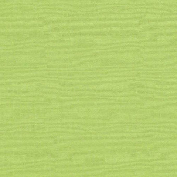 Cardstock, Pistachio, 216g, 25 feuilles-30x30cm (texturé)-Scrapberry's (voir description)