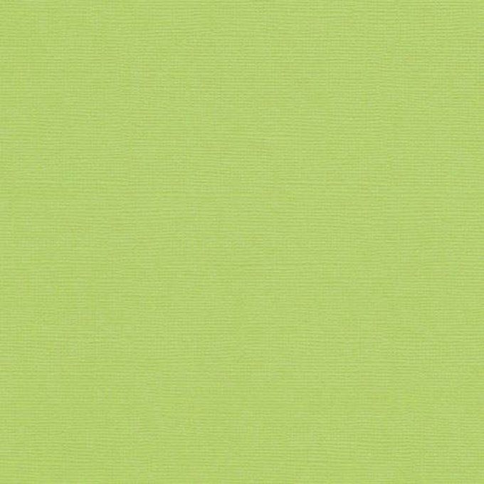 Cardstock, Pistachio, 216g, 25 feuilles-30x30cm (texturé)-Scrapberry's (voir description)