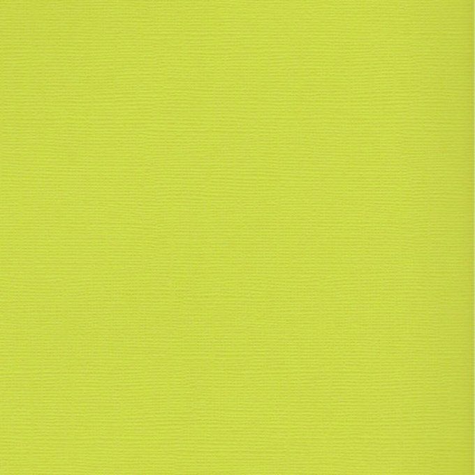 Cardstock, Couleur : Yellowish green, 216g, 25 feuilles-30x30cm (texturé)
