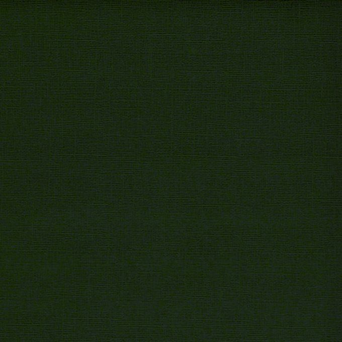 Cardstock Couleur : Dark green, 216g, 25 feuilles-30x30cm (texturé)-Scrapberry's