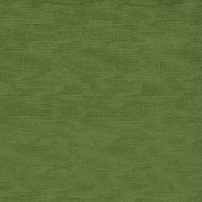 Cardstock Couleur : khaki, 216g, 25 feuilles-30x30cm (texturé)-Scrapberry's
