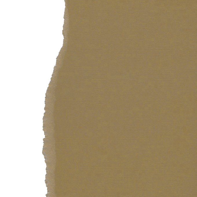 Cardstock, cappuccino, 216g, 25 feuilles-30x30cm (texturé)-Scrapberry's (voir description)