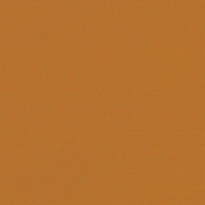 Cardstock Couleur : Pumpkin, 216g, 25 feuilles-30x30cm (texturé)-Scrapberry's