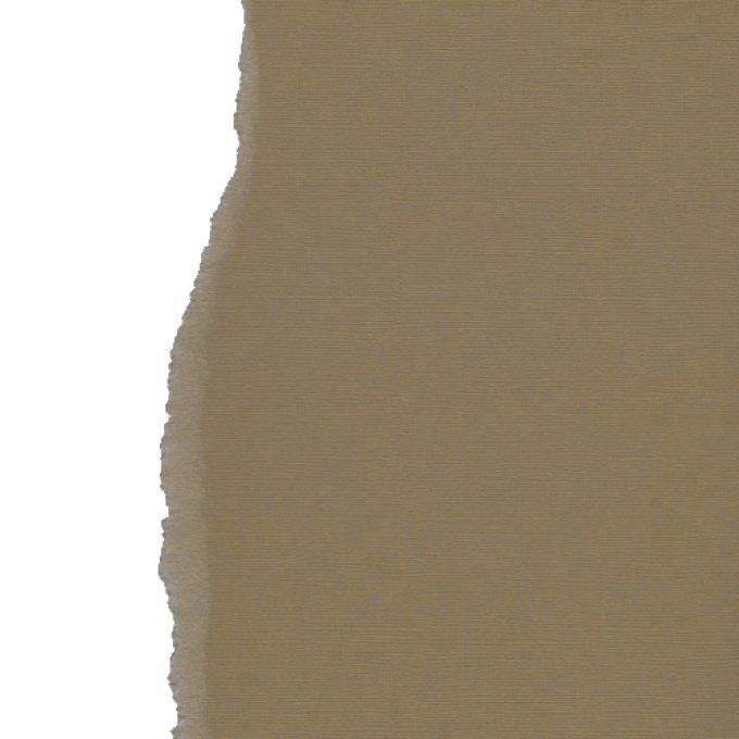 Cardstock, Dark beige, 216g, 25 feuilles-30x30cm (texturé)-Scrapberry's (voir description)