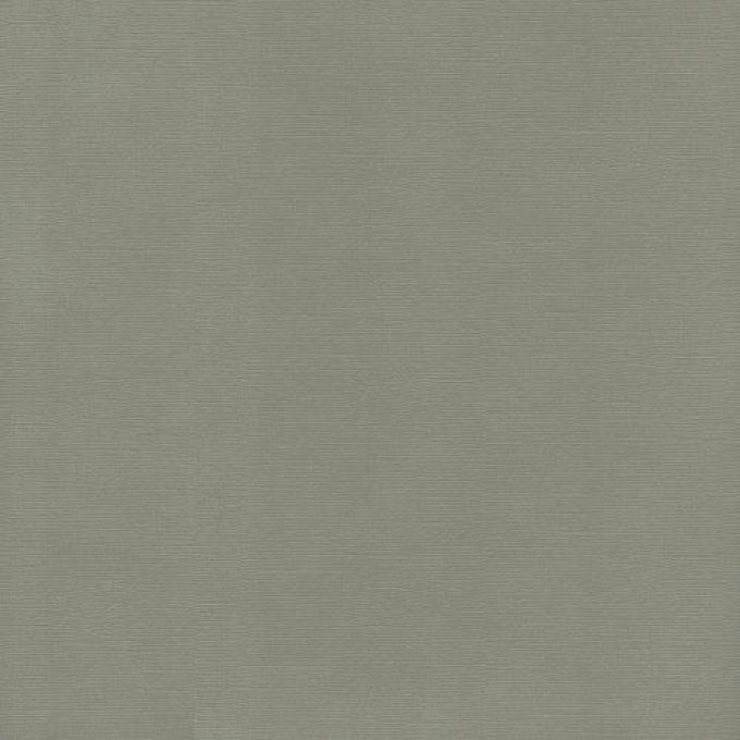 Cardstock Couleur : Ash, 216g, 25 feuilles-30x30cm (texturé)-Scrapberry's