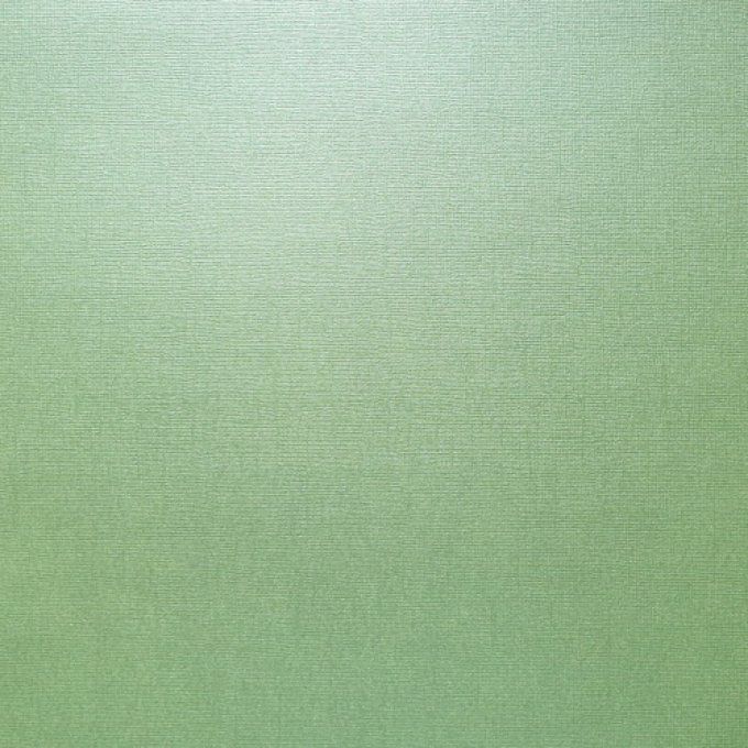 Cardstock, Pearlescent, Couleur : Celadon, 216g, 25 feuilles-30x30cm (texturé)-Scrapberry's