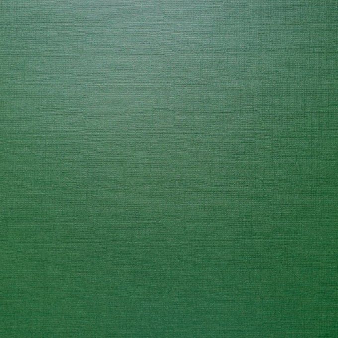 Cardstock, Pearlescent, Couleur : Green, 216g, 25 feuilles-30x30cm (texturé)-Scrapberry's