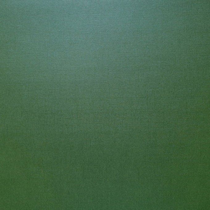 Cardstock, Pearlescent, Couleur : Dark green, 216g, 25 feuilles-30x30cm (texturé)-Scrapberry's