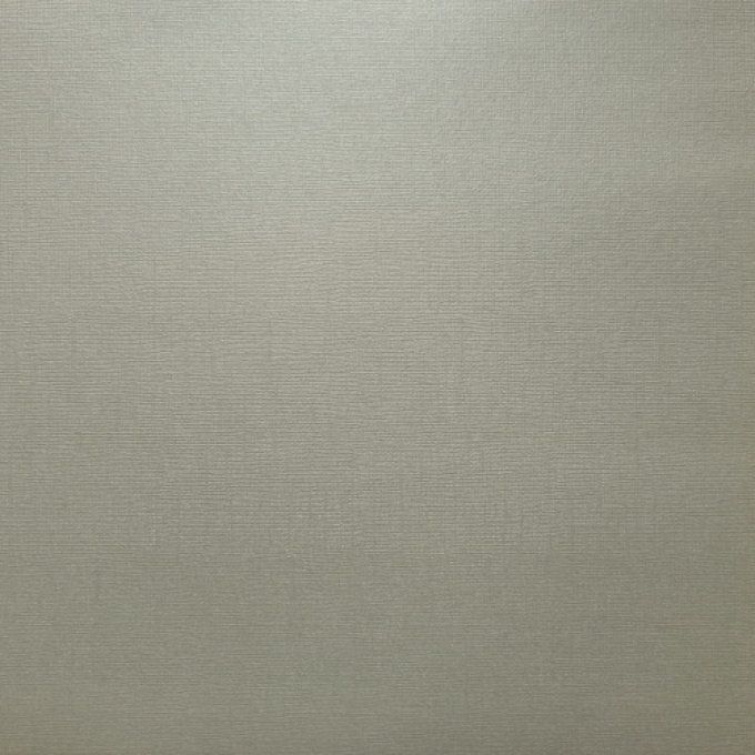 Cardstock, Pearlescent, Couleur : Beige-Grey, 216g, 25 feuilles-30x30cm (texturé)-Scrapberry's