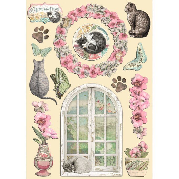 Planche de chipboards colorés, Orchids and cats, Stampéria - Planche format A5