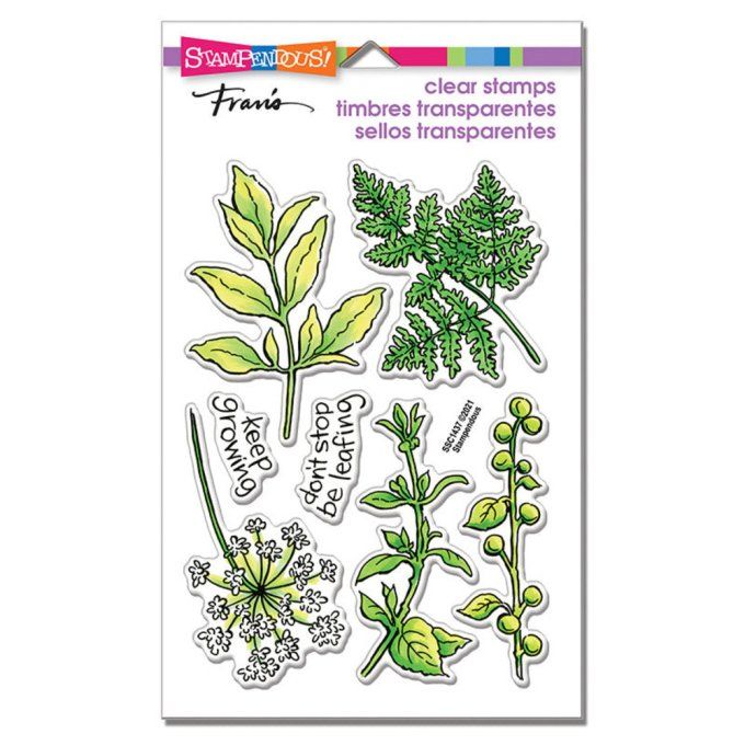 Planche de 7 Tampons clears - Feuillage, Stampendous, dimension de la planche : 10x14.5cm environ