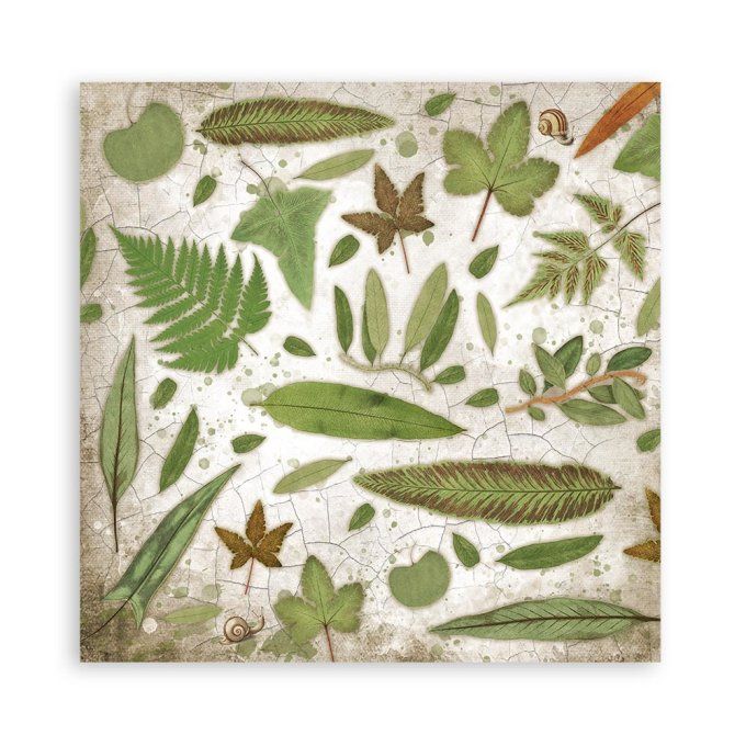 Collection Garden House, 30x30cm - 10 feuilles motif recto verso - Stamperia - 190g