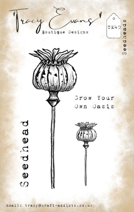 4 Tampons clears, Tracy Evans, Seedheads, format de la planche A7 