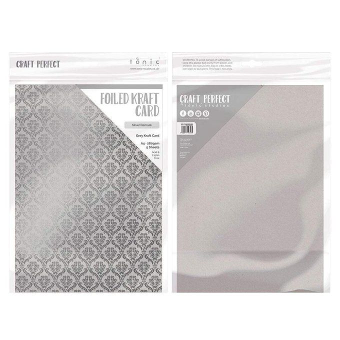 Papier texturé, craft perfect, Tonic Studio, format A4, 280g, 5 feuilles, Silver damask