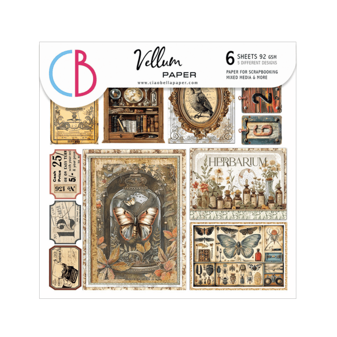 Ciao Bella, Papier vellum - collection Cabinet of curiosities - 15x15cm - 6 feuilles, 92g