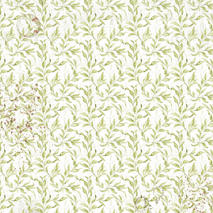 Ciao Bella, Papier vellum - collection Cabinet of curiosities - 15x15cm - 6 feuilles, 92g